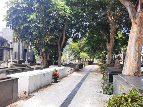 Vendo Jazigo Perpétuo No Cemitério São João Batista, Ótima Localização, Bela Escultura E Adornos