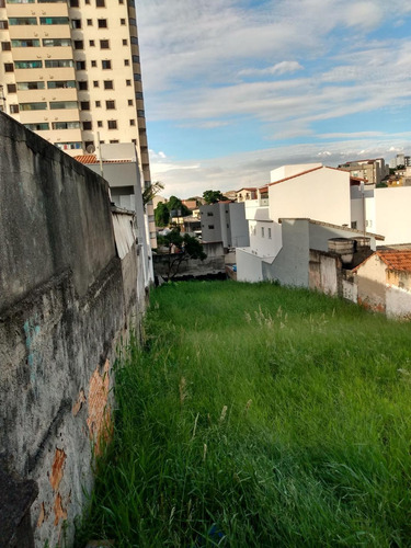 Imagem 2 de 4 de Terreno Para Aluguel, Gilda - Santo André/sp - 12922