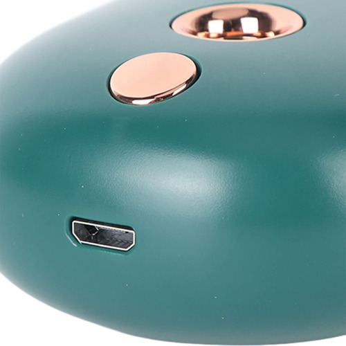 Rociador Facial Usb Recargable Animal Lindo Mini Humidificad Color