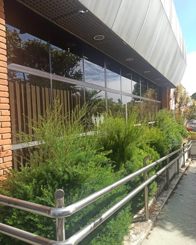 Imagem 1 de 3 de Loja - Lj00091 - 69534267
