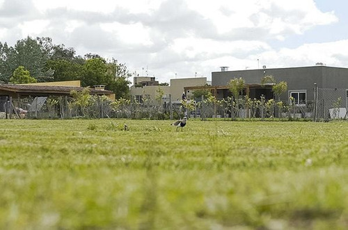 Terreno - Barrio El Aljibe