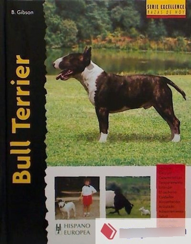 Bull Terrier / Excellence