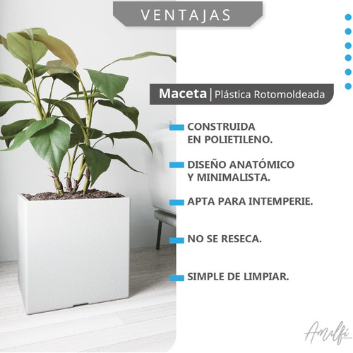 Maceta Plástica Rotomoldeada Modelo Cubo N 30 Moderna Amalfi