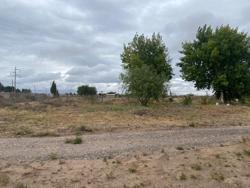 Imagen 12 de 15 de Chacra En Alquiler - Galpón - Ciudad Industrial - Neuquén