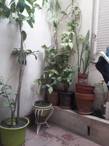 Imagen 4 de 14 de Departamento Tipo Casa En Venta Cond En Lanus Oeste