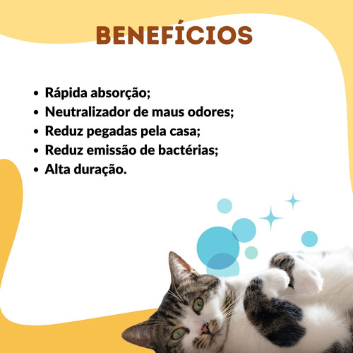 Kit 2un Areia Silica Grossa para Gatos 1,6kg Ultra Absorção Total 3,2kg
