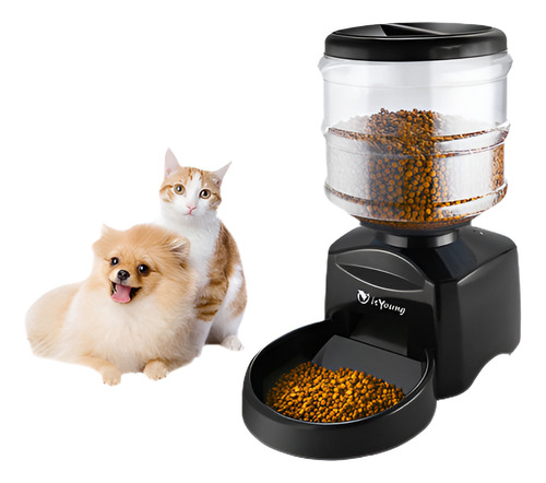 5.5l Electrónico Alimentador Automático De Mascotas Gatos Pe