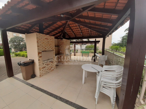 Apartamento - Jardim Carvalho - Ref: 197999 - V-198111