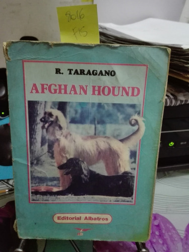 Afghan Hound // R. Taragano