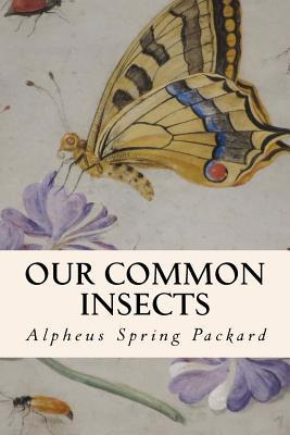 Libro Our Common Insects - Alpheus Spring Packard