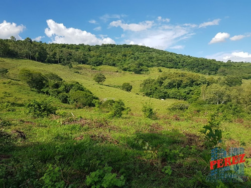 Chácaras_sítios_fazendas Para Venda - 13650.5197