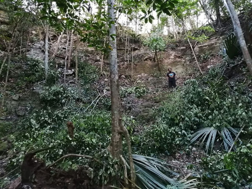 Imagen 13 de 13 de Terreno Con Cenote Al Descubierto A 25 Minutos De Valladolid
