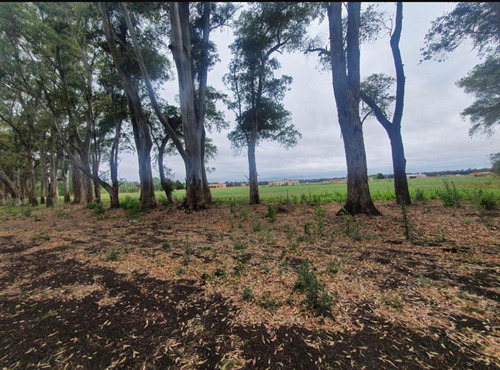 Lote Chacras San Andres La Montura Permuta