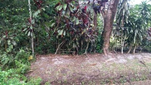 6064 Kym - Vende Terreno Na Praia - Gaivota - Itanhaém/sp