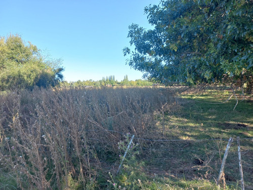 Venta De Chacra En La Pava Chica Chascomus