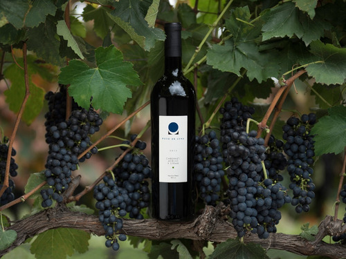 Vino Tinto Pozo De Luna 750 Ml