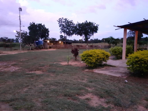 Imagen 9 de 15 de Finca En Venta, San Mateo, Anzoategui