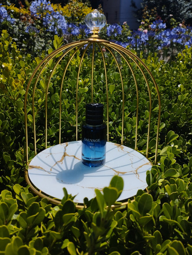 Bleu De Chanel + 2 Sauvage Dior De 30 Ml Promo Dia Del Padre