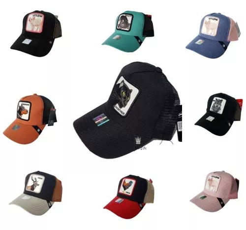 Gorra de béisbol totalmente cerrada no ajustable Gorra deportiva Dodge  Visera curva