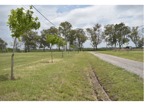 Lote En Piñero 975 Mt2 Frente A La Ruta  Ruta Nacional Ao12 Km 9,5 - Lote 4 Y 5- Manzana A