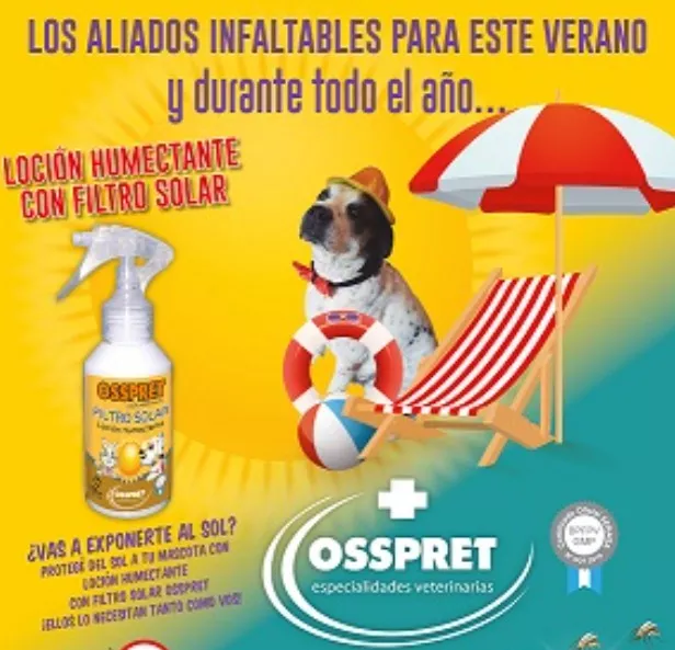 Primera imagen para búsqueda de protector solar para gatos