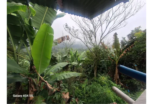 Venta Casa Campestre Salento. Quindío - Colombia Cod: 9054527