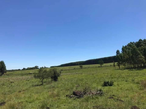 Imagen 10 de 16 de En Venta Parcela De 17 Hectáreas En Miranda