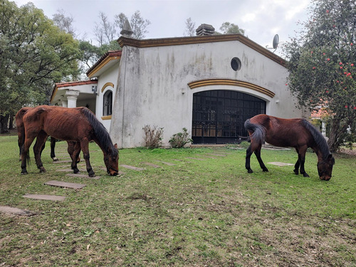 Casas Estilo Colonial Sobre 22.000 M2 De Terreno! Pegado A Country Martindale