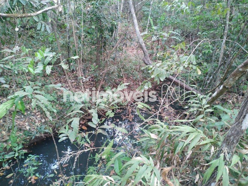 Imagem 4 de 19 de Df-135 Km 9 - San823891