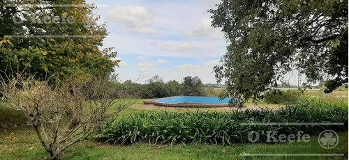 Imagen 12 de 28 de Quinta En Venta En Abasto, Con Casa De Campo Sobre Lote De 26.103 M2
