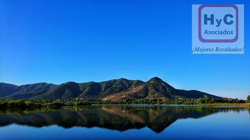 Imagen 2 de 21 de Venta Terreno 7500 M2 Con Bosque, En Idahue ¡mejor Precio!