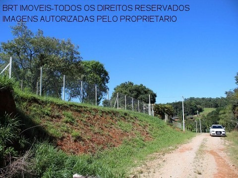 Imagem 3 de 21 de Te00110 - Taipas De Pedra - São Roque - Sp - Te00110 - 33617461
