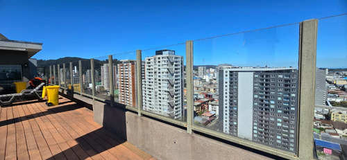 Se Vende Amplio Departamento En Concepcion