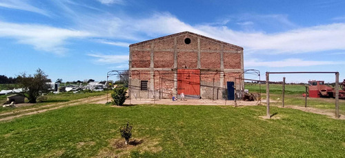 Imagen 19 de 21 de Venta Campo 11 Has Rincon Del Cerro Montevideo