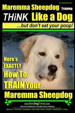 Maremma Sheepdog Maremma Sheepdog Training - Think Like A...