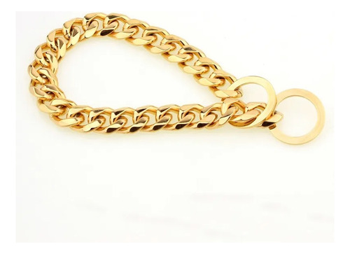 Collar De Lujo Para Mascotas Especiales Cadena Gruesa Y Códi