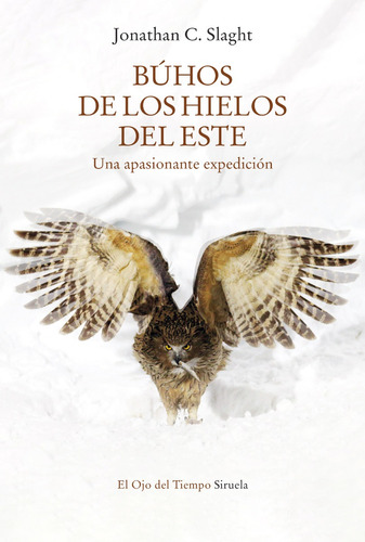 Búhos De Los Hielos Del Este: Una Apasionante Expedición.