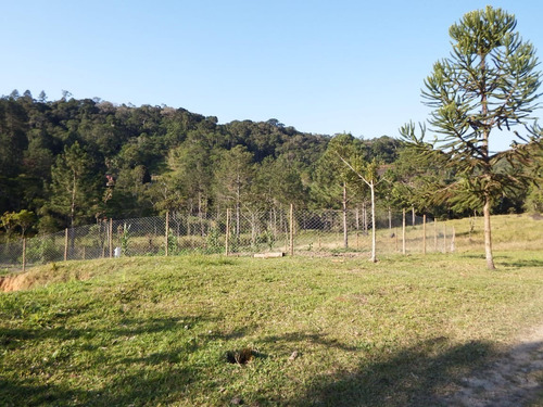 Imagem 2 de 18 de Sítio À Venda Em Juquitiba 56.000 M² Lago Cheio De Peixes