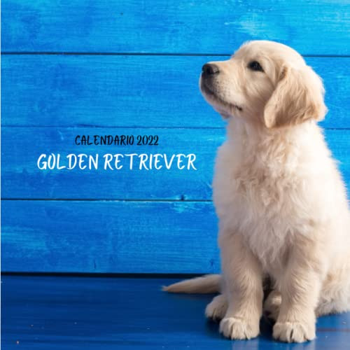 Golden Retriever Calendario 2022: Calendario 2022 8 5''x8 5'