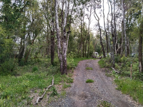 Parcela De 5000mtr2 Con 3 Cabañas., Quelhue, Pucón