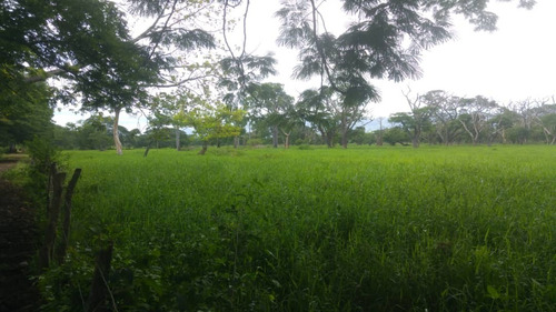 Imagen 25 de 27 de Se Vende Finca Hacienda En Estado Zulia, Ml