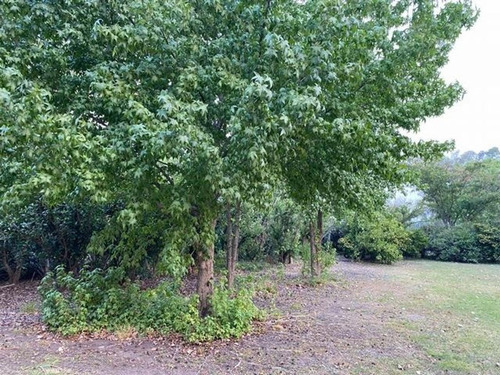 Imagen 2 de 9 de Terreno Venta Club De Campo San Francisco Manzanares Pilar