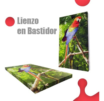 Imagen 2 de 8 de Desde $20 - Cuadro Decorativo De Venezuela - Canvas O Vinil