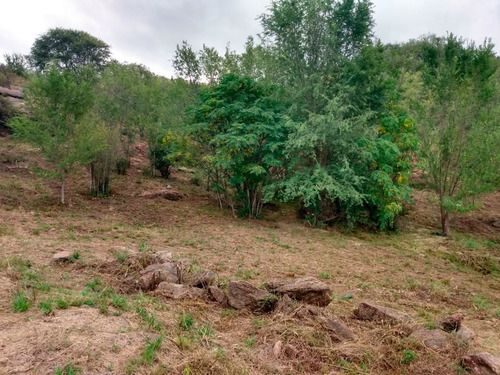 Imagen 4 de 11 de Venta De Lote De 2033m2 Ubicado En Bialet Massé