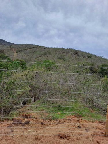 Terreno 3 Hectáreas El Trapiche La Ligua (85586)
