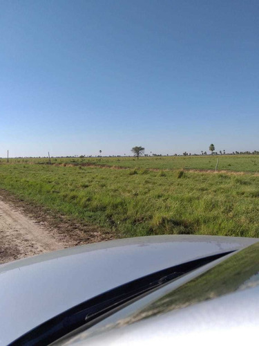 Vendo Campo Mixto De 14.100 Hectáreas ( Formosa. Argentina )
