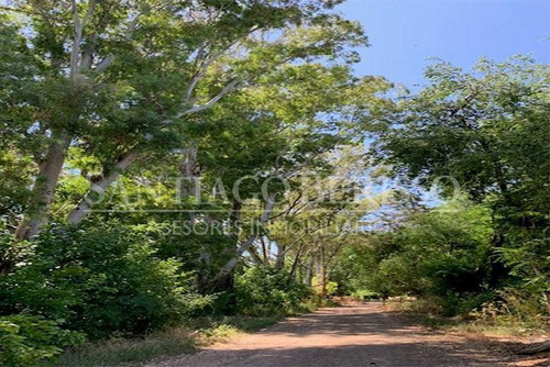 Terreno Campo En Venta Ubicado En Parada Robles, Exaltación De La Cruz, G.b.a. Zona Norte