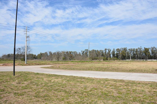 Nave Industrial En Alquiler De 16.000m2 En Parque Industrial Moreno 2 - Pim2