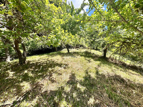 Terreno En Arique Ruta A Valdivia (133760)
