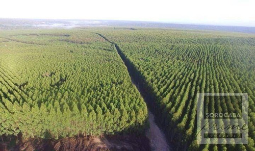 Imagem 3 de 4 de Fazenda À Venda, 250000000 M² Por R$ 1.500.000.000 - Centro - Ribas Do Rio Pardo/ms - Fa0032